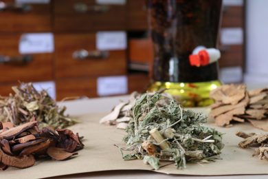 Thuốc đông y hỗ trợ điều trị sâu, giảm đau, hồi phục thể trạng bệnh nhân