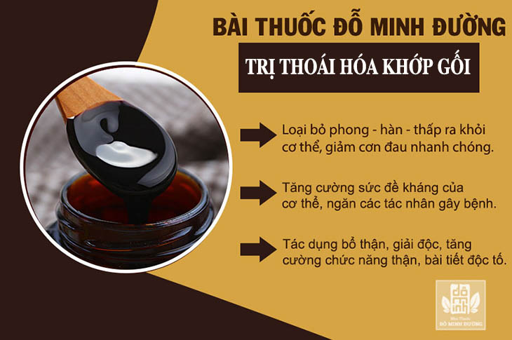 Công dụng của bài thuốc điều trị thoái hóa khớp gối của Đỗ Minh Đường