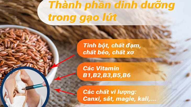 Gạo lứt có chứa rất nhiều dưỡng chất có lợi cho người bị thoái hóa khớp