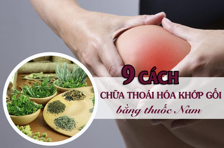 Chữa thoái hóa khớp gối bằng thuốc nam là một phương pháp có độ an toàn cao