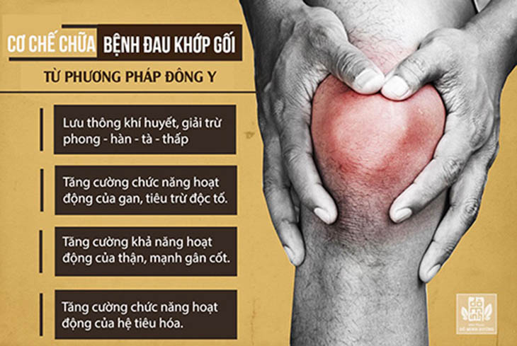 Cơ chế điều trị thoái hóa khớp gối của Đông y