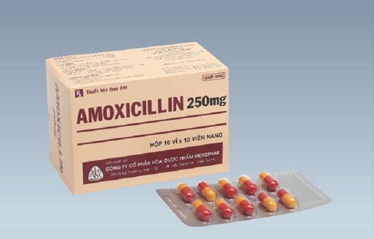 Amoxicillin là thuốc kháng sinh ưu tiên trong điều trị bệnh