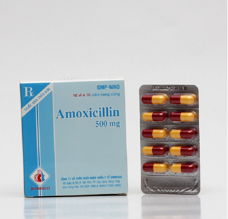 Thông Tin Về Thuốc Viêm Họng Amoxicillin