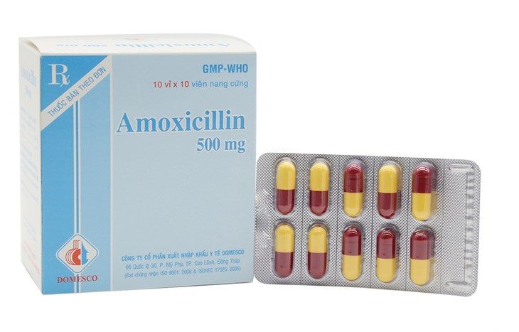 Amoxicillin là loại thuốc được sử dụng phổ biến để giảm nhanh các triệu chứng của bệnh