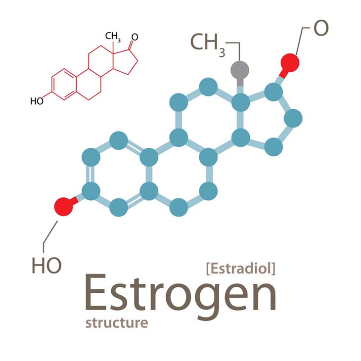 Bổ sung estrogen để điều trị bệnh