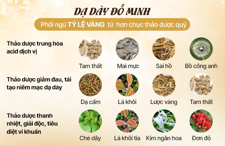 Kết hợp hơn chục thảo dược theo TỶ LỆ VÀNG đã được nghiên cứu kỹ lưỡng