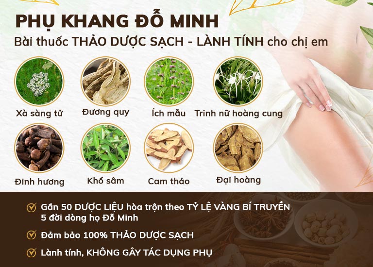 Một số thành phần chính có trong bài thuốc Phụ khang Đỗ Minh chữa bệnh phụ khoa cho chị em