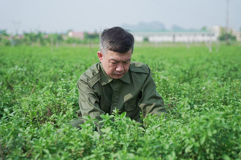 Mỗi dược liệu, Tuấn tôi đều nghiên cứu, chọn lựa rất kỹ