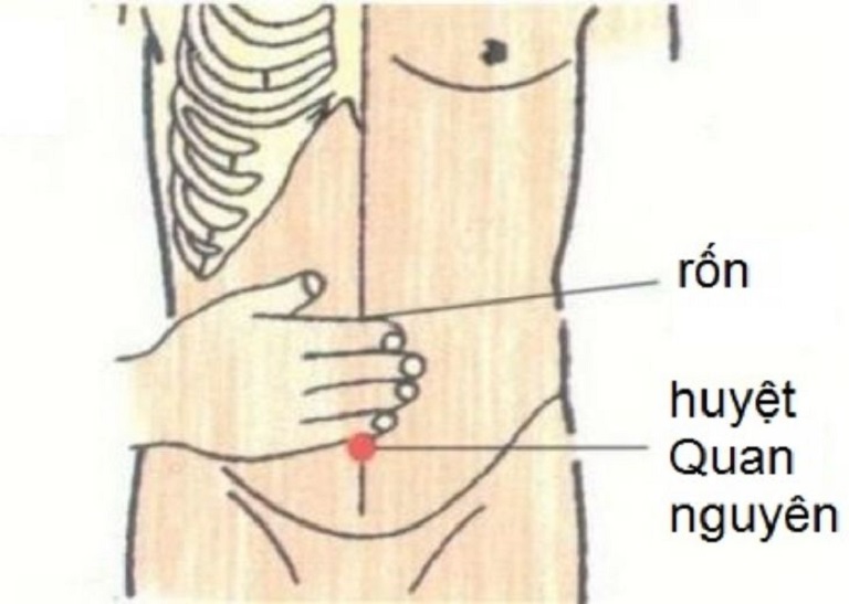 Vị trí của huyệt quan nguyên là nằm ở dưới rốn khoảng 3 thốn