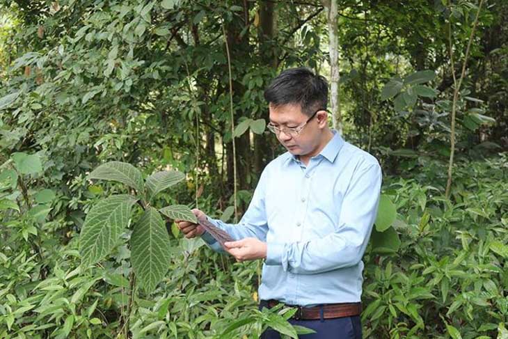 Lương y Đỗ Minh Tuấn đầu tư xây dựng vườn dược liệu sạch, bảo tồn nguồn cây giống thuốc Việt Nam