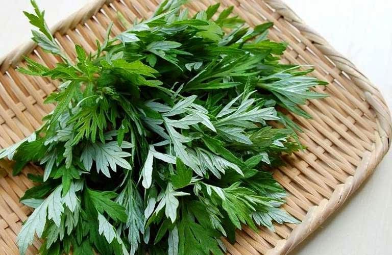 Ngải cứu chứa nhiều hợp chất có tác dụng giảm đau, kháng viêm tự nhiên