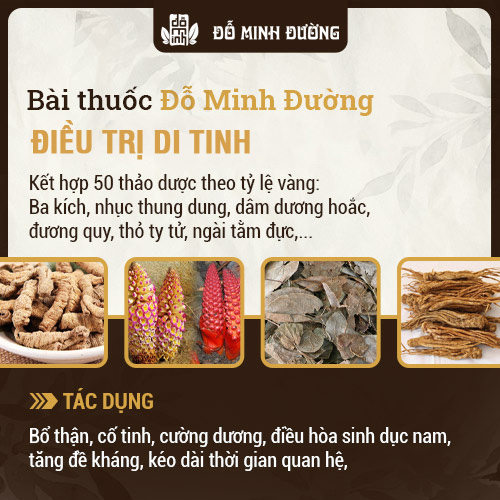 Thông tin bài thuốc Sinh lý nam Đỗ Minh