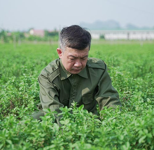 Dược liệu tại Đỗ Minh Đường