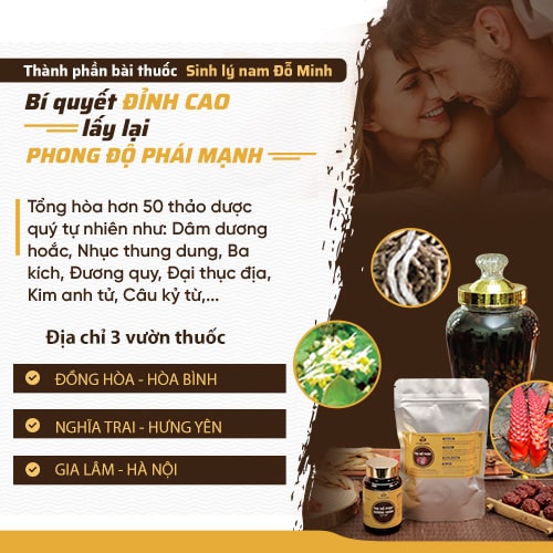 Thông tin bài thuốc Sinh lý nam Đỗ Minh