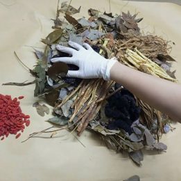 Thang thuốc xương khớp của Đỗ Minh Đường