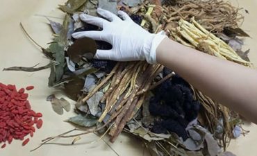 Thang thuốc xương khớp của Đỗ Minh Đường