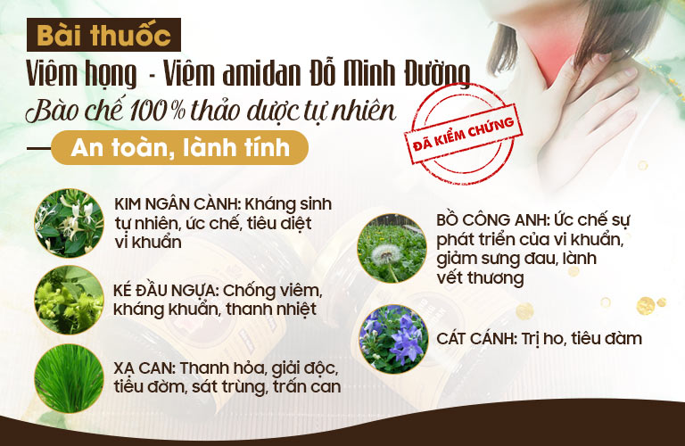 Thảo dược trong bài thuốc viêm amidan Đỗ Minh Đường được thu hái từ vườn dược liệu sạch