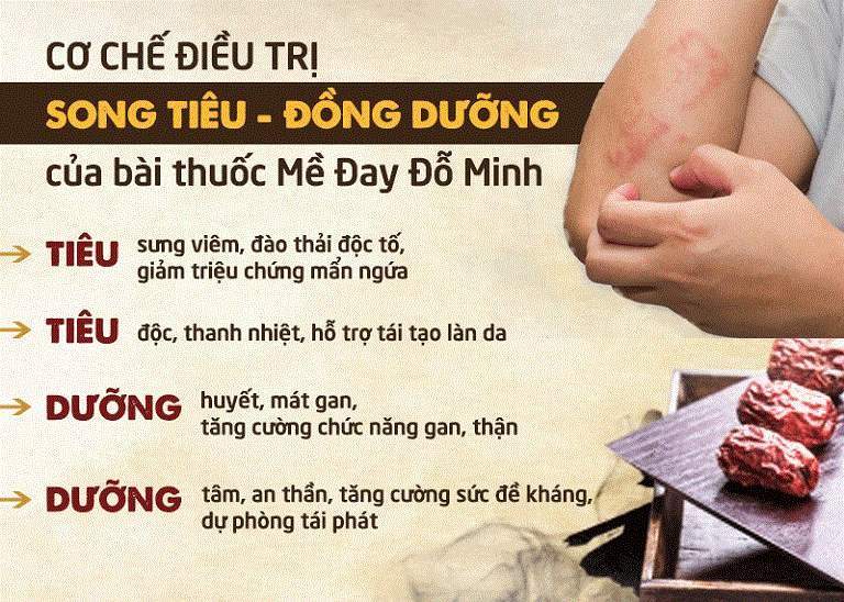 Bài thuốc Mề đay Đỗ Minh áp dụng cơ chế SONG TIÊU - ĐỒNG DƯỠNG