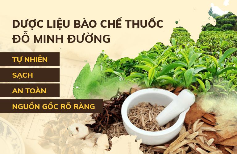 Thành phần bài thuốc từ 100% dược liệu tự nhiên