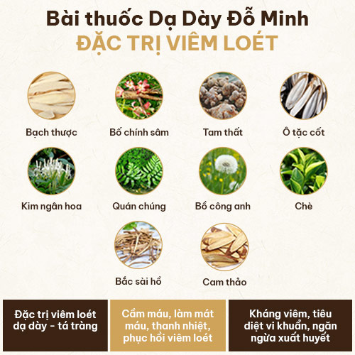 Thông tin bài thuốc Dạ Dày Đỗ Minh