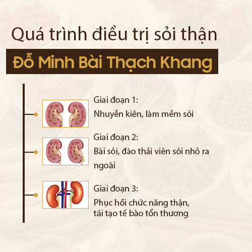 Cơ chế điều trị