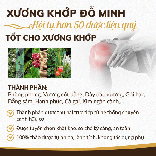 Thông tin bài thuốc chữa đau thần kinh tọa Đỗ Minh