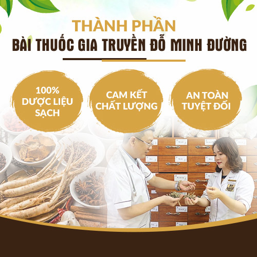 Thông tin bài thuốc Hồi xuân Đỗ Minh