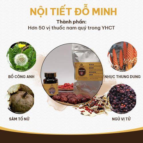 THÔNG TIN BÀI THUỐC NỘI TIẾT ĐỖ MINH