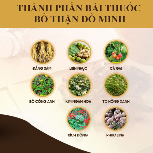 Khám phá bài thuốc chữa thận hư Đỗ Minh