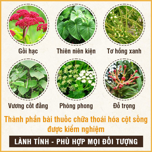 Thông tin bài thuốc Xương khớp Đỗ Minh