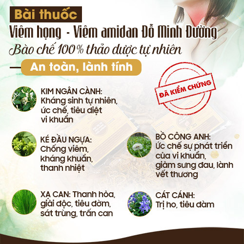 Thông tin bài thuốc Viêm Amidan Đỗ Minh