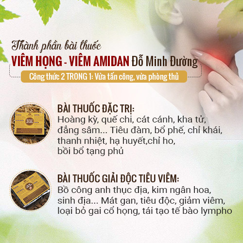 Thông tin bài thuốc Viêm Họng Đỗ Minh