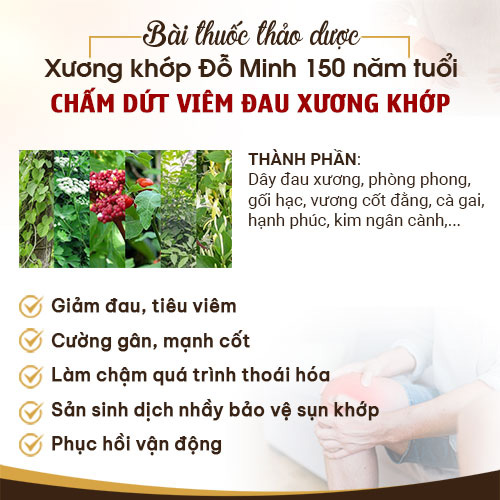 Thông tin bài thuốc Xương khớp Đỗ Minh