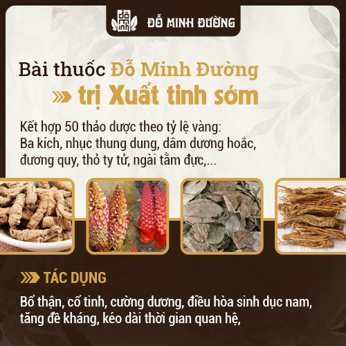 Thông tin bài thuốc Sinh lý nam Đỗ Minh