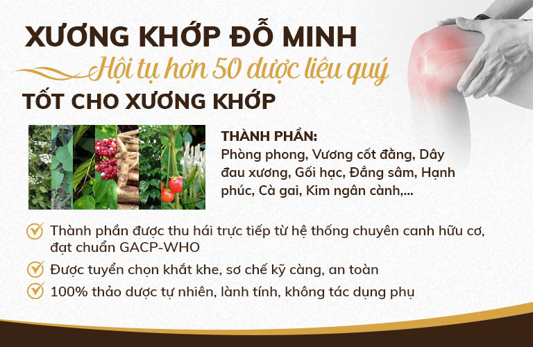 Thành phần bài thuốc Xương Khớp Đỗ Minh chuẩn sạch