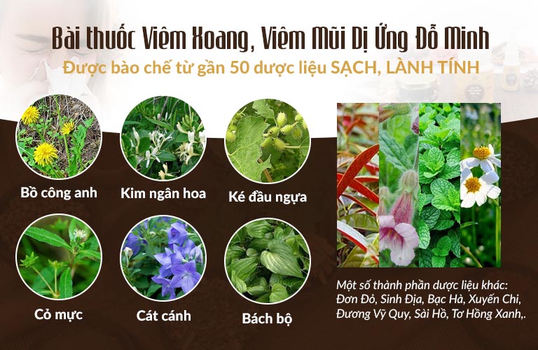 Bài thuốc Viêm Xoang Đỗ Minh được bào chế từ gần 50 thảo dược tự nhiên