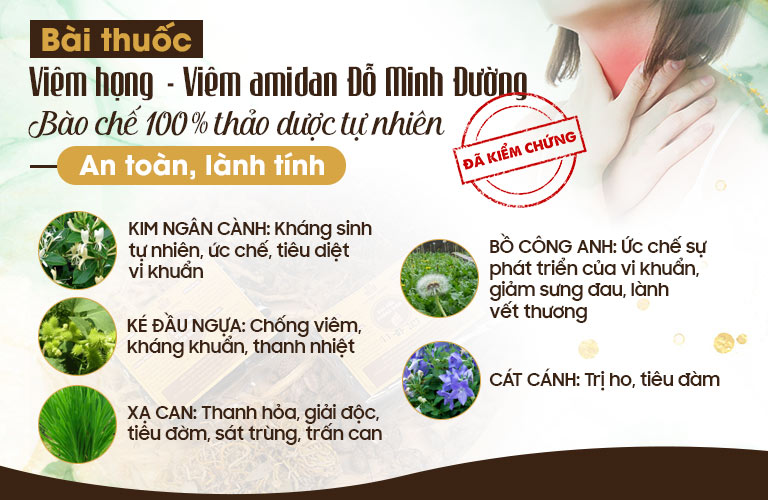 Thành phần bài thuốc Viêm họng Đỗ Minh