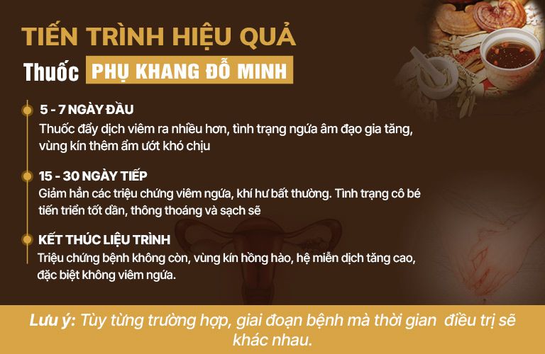 Liệu trình điều trị thuốc Phụ khang Đỗ Minh