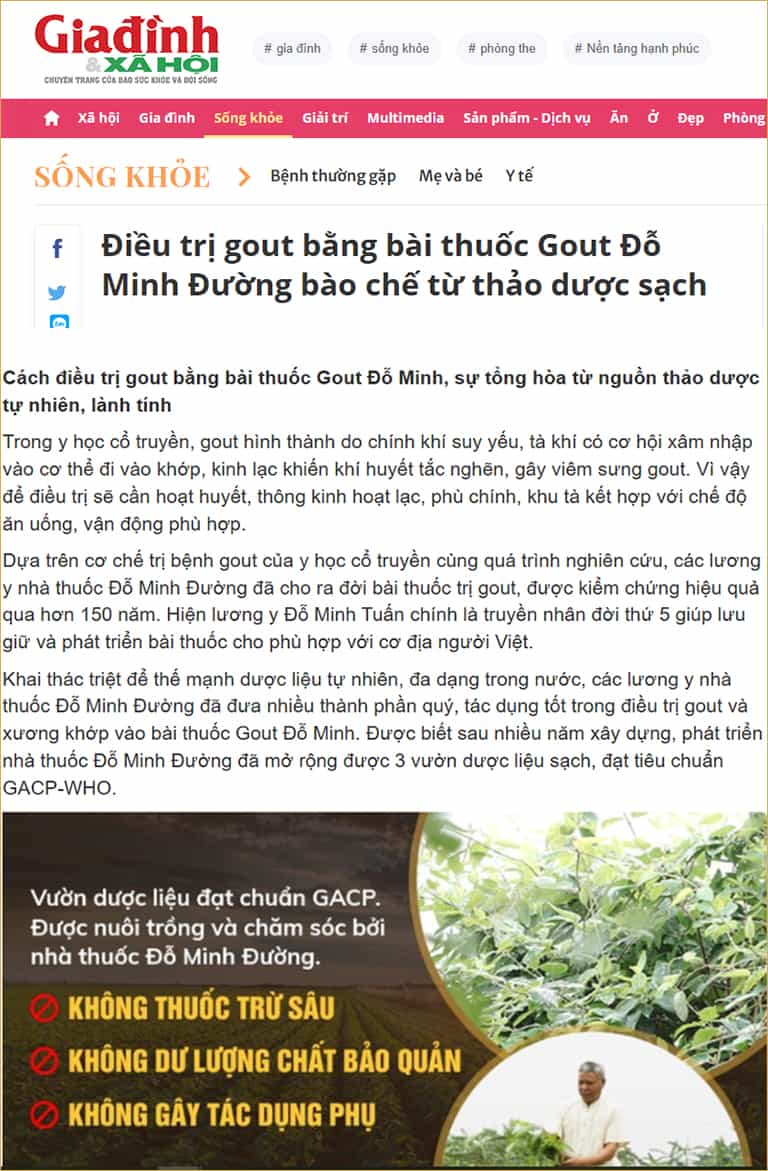 Báo giadinh đưa tin về thuốc gout Đỗ Minh