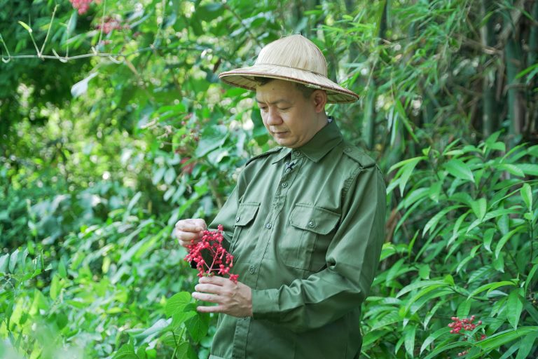 Lương y Tuấn cùng Đỗ Minh Đường chủ động xây dựng vườn dược liệu sạch