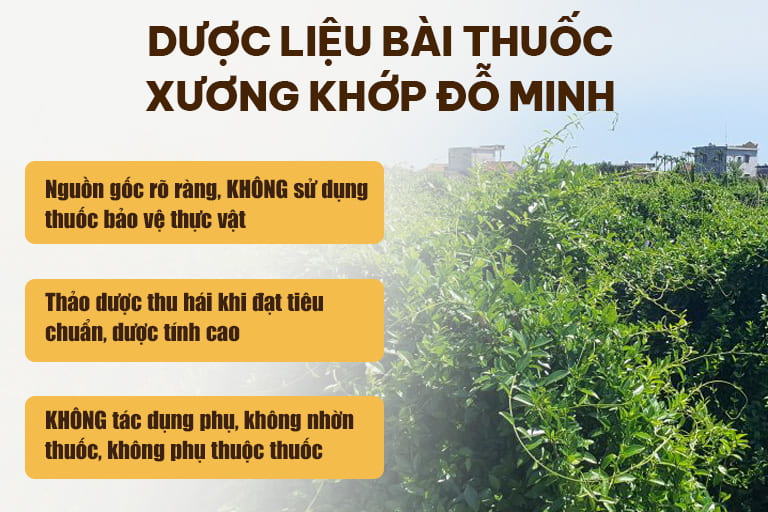 Thành phần bài thuốc Xương Khớp Đỗ Minh