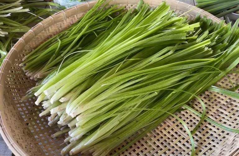 Chữa Mề Đay Bằng Lá Hẹ: Công Dụng Và Cách Thực Hiện Tại Nhà