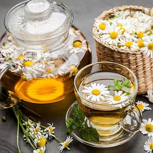 Uống trà hoa cúc, trà xanh giúp tiêu đàm, thanh lọc cơ thể, giảm mỡ máu tự nhiên