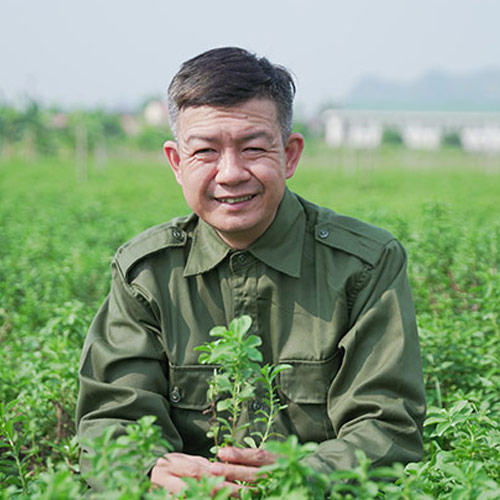 Bài thuốc đều được lấy từ 3 vườn dược liệu do Đỗ Minh Đường chuyên canh, đạt chuẩn HỮU CƠ