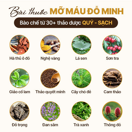Đỗ Minh Đường đã kết hợp các dược liệu dưới đây theo TỶ LỆ VÀNG