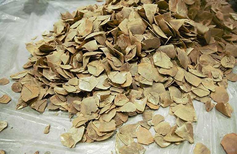 Hướng Dẫn Cách Dụng Vảy Trút Chữa Mề Đay Hiệu Quả Tại Nhà