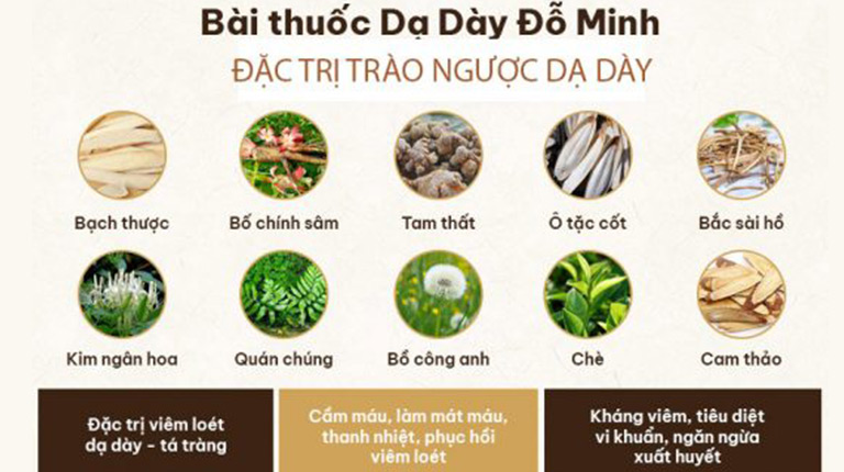 Thập dược bình vị không chỉ giúp ôn trung kiện tỳ, mà còn sơ can hòa vị và tư âm dưỡng vị