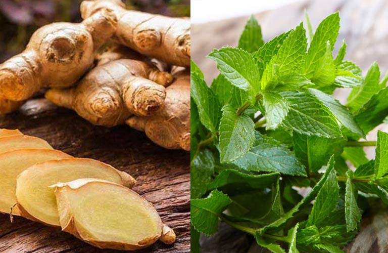 Lá bạc hà có tính mát, giúp làm dịu và thông thoáng mũi