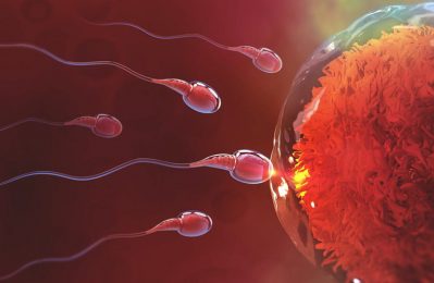 Thụ tinh nhân tạo thực sự là một phương pháp khả thi trong nhiều tình huống