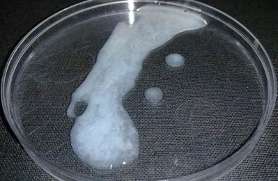 Xuất tinh sớm không trực tiếp làm tinh trùng yếu đi